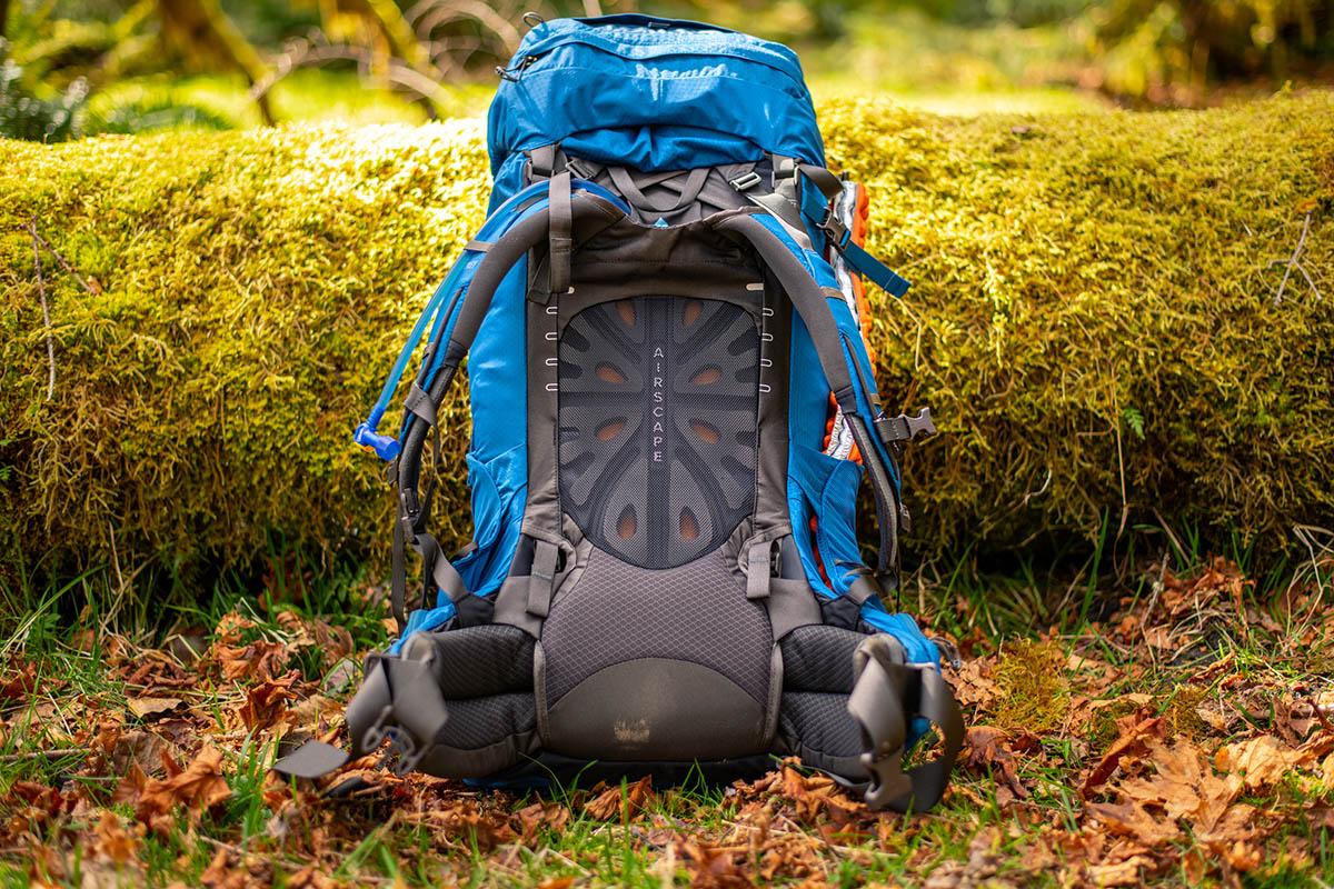 Osprey Aether 65 pack (backpanel and padding)